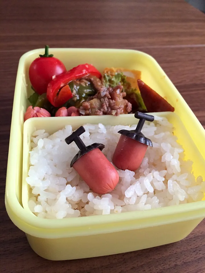 どんぐりのお弁当|manacocoさん