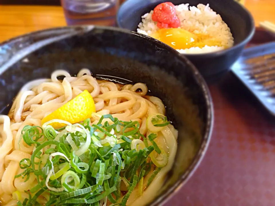 ぶっかけうどん、明玉ごはん|キジさん