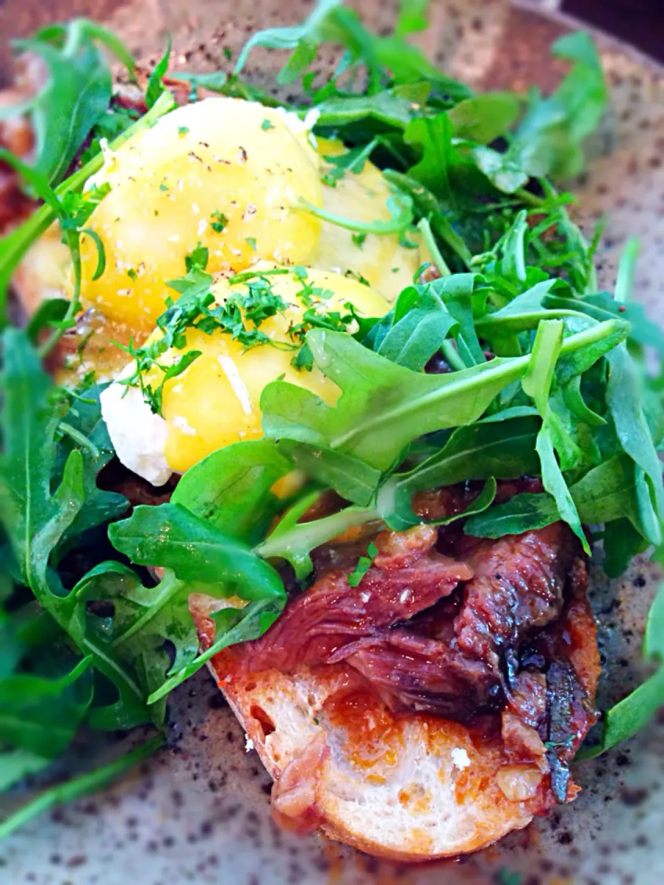 Snapdishの料理写真:Organic Eggs Benedict over braised ox cheek@Common Man Coffee Roasters, Martin Rd|coxiella24さん