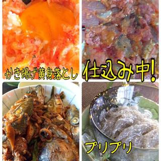 スズキ 卵のレシピと料理アイディア22件 Snapdish スナップディッシュ