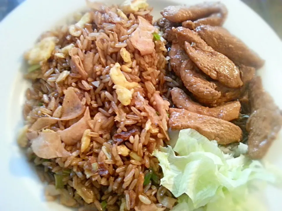 Snapdishの料理写真:egg and turkey breast fried rice and terriaki chicken|Alicia Kimaliさん