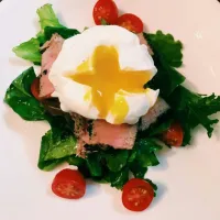 Tuna salad nicoise #Salad #tuna #poached egg|Michael Leさん