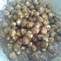 kerang bersambal|Mis Ezzyさん