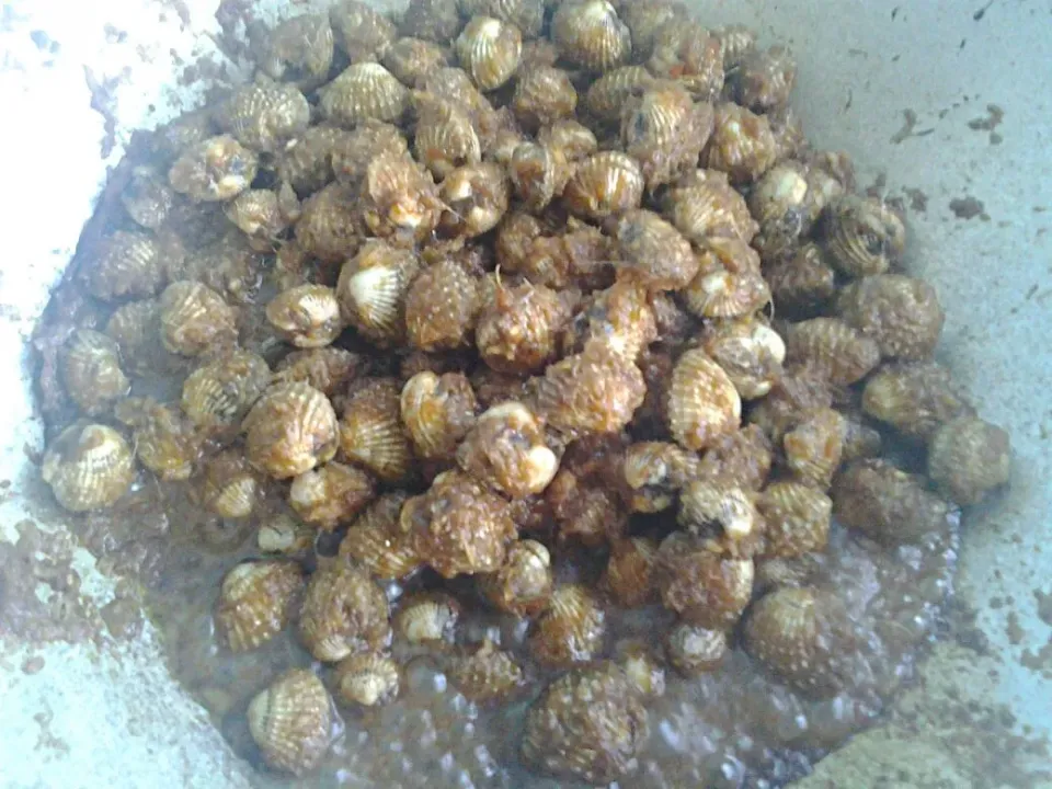 kerang bersambal|Mis Ezzyさん