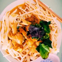 Chicken curry with Vietnamese noodle|Sylvie Phamさん