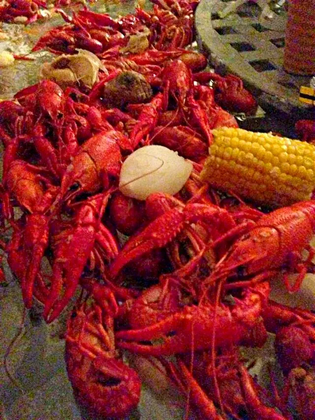 🎊💜Post Images My #Birthday Dinner 11/23 Lots of #Family #Foodies #Friends #Fun🎊💜 The #Louisiana Crawfish Layout Catered by Tucker's #Seafood 🐟 #Birthday #Party|Alisha GodsglamGirl Matthewsさん