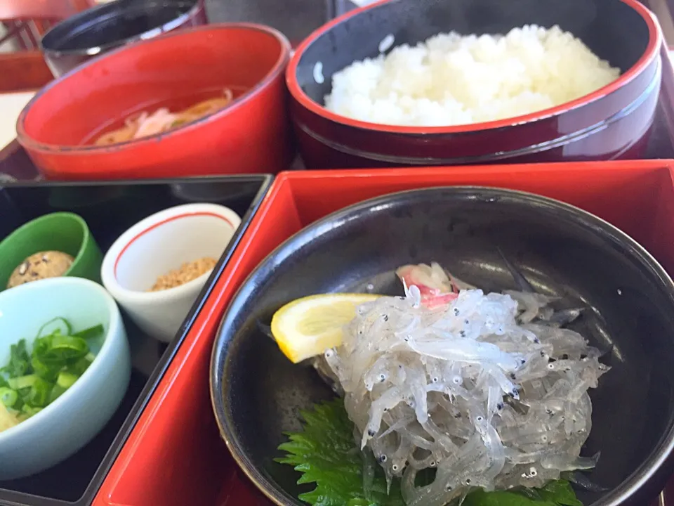 生しらす丼♪|asakoさん