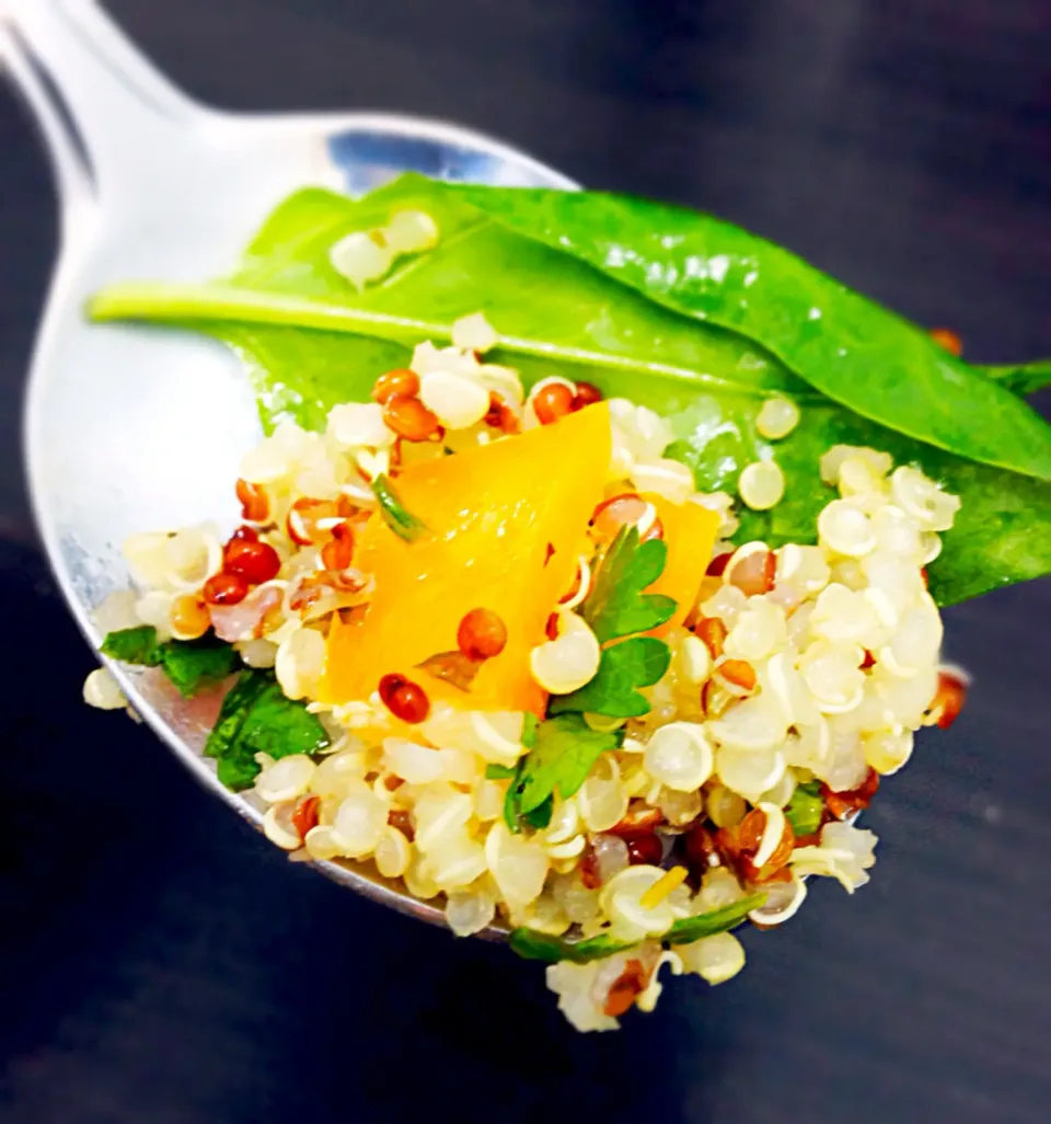 Mix of white and red quinoa|coxiella24さん