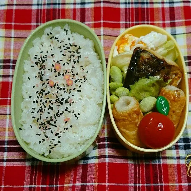 11/26(水)の旦那弁当🍱
♪さばの塩焼き
♪卵焼き
♪枝豆
♪ちくわ
♪ミニトマト|ふみぃさん