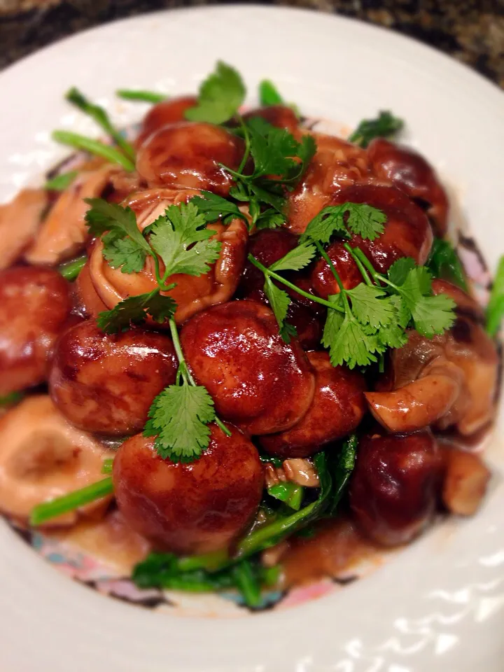 Fresh shiitake Mushroom on a bed of Chinese Broccoli|Allissa Zhaoさん