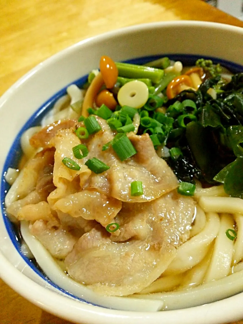 ～うどんシリーズ～山菜肉わかめうどん～|徳之島トトロンヌさん