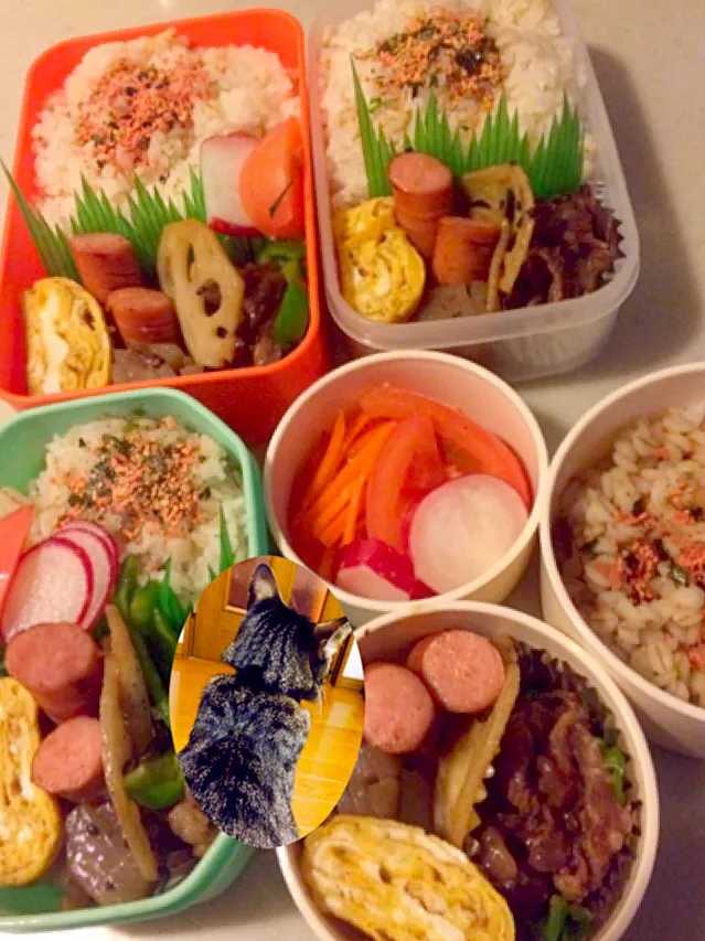 Snapdishの料理写真:今日の四人のお弁当。|りんさん