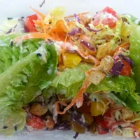 Organic Homemade Salad|Karinさん