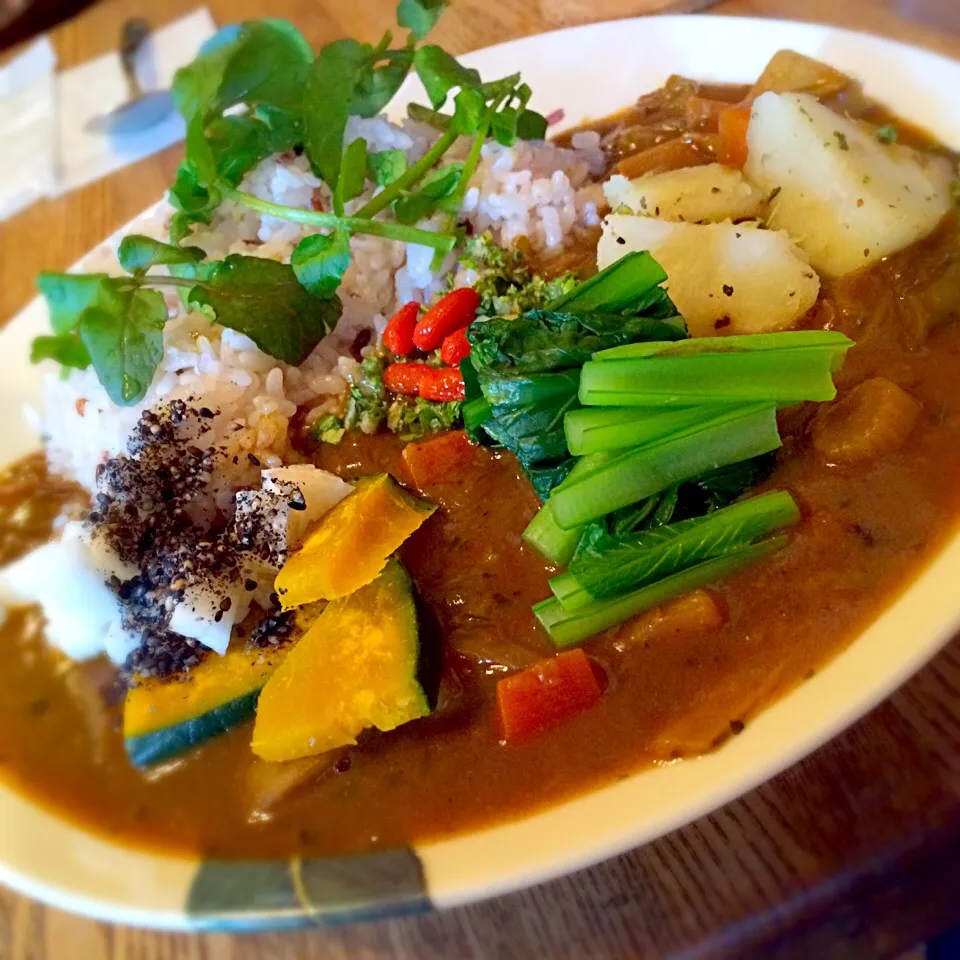 薬膳野菜カレー🍛|おかっぴーさん