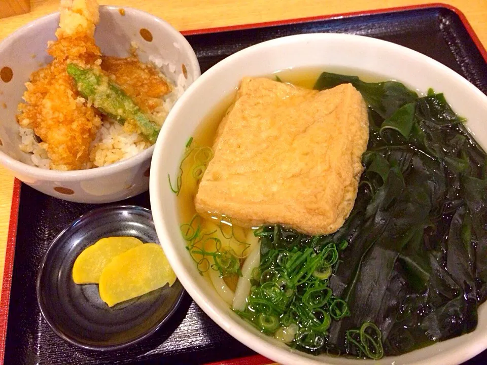 札幌 寺屋 うどん|pipioujiさん