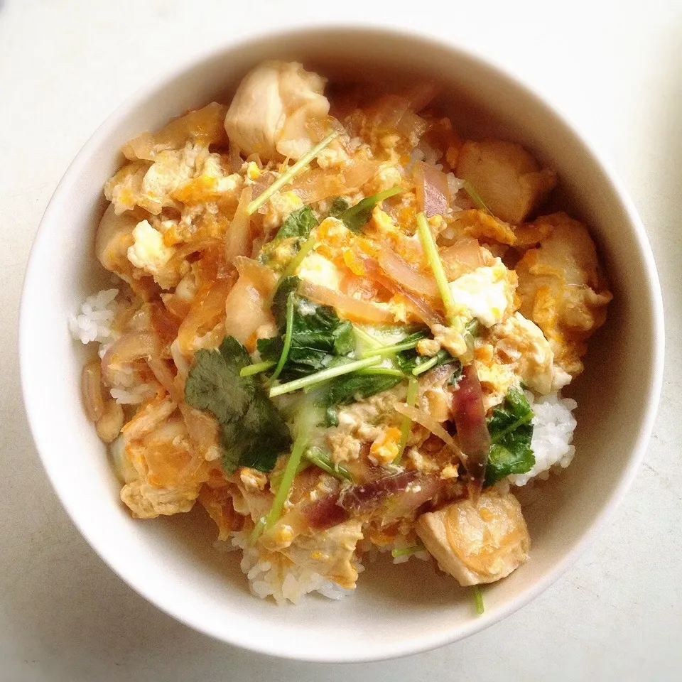 親子丼。|ヘイオークボさん