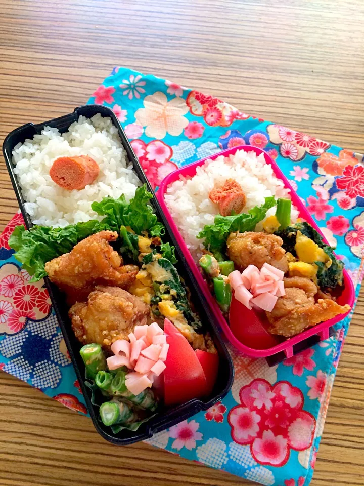 Snapdishの料理写真:＊お弁当＊ 鶏の塩唐揚げ チヂミほうれん草卵とじ インゲンのおかかマヨ和え ハムとトマト 焼きたらこ|pinoyamaさん