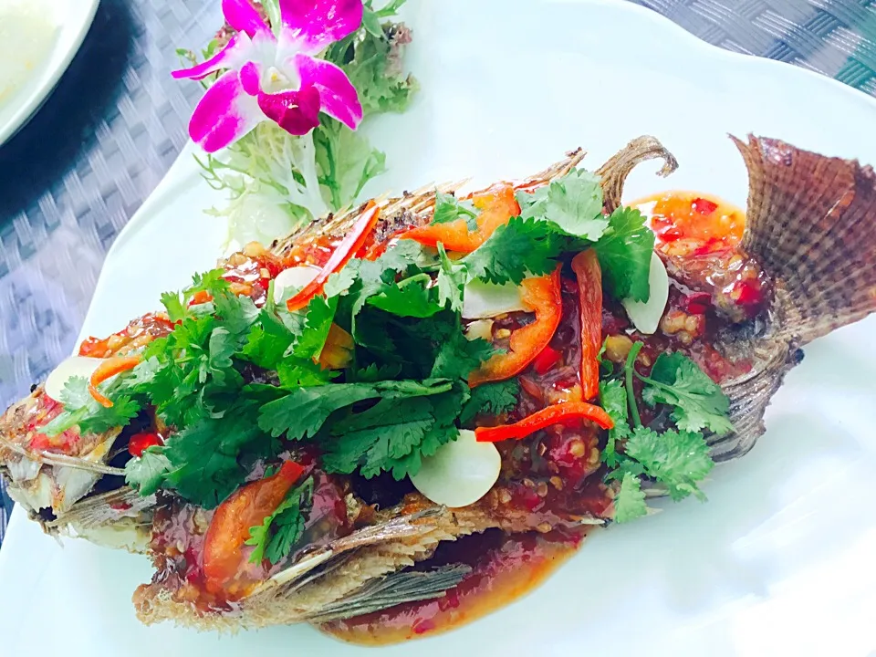 Thai Chili Sauce Fried Fish|Queenさん