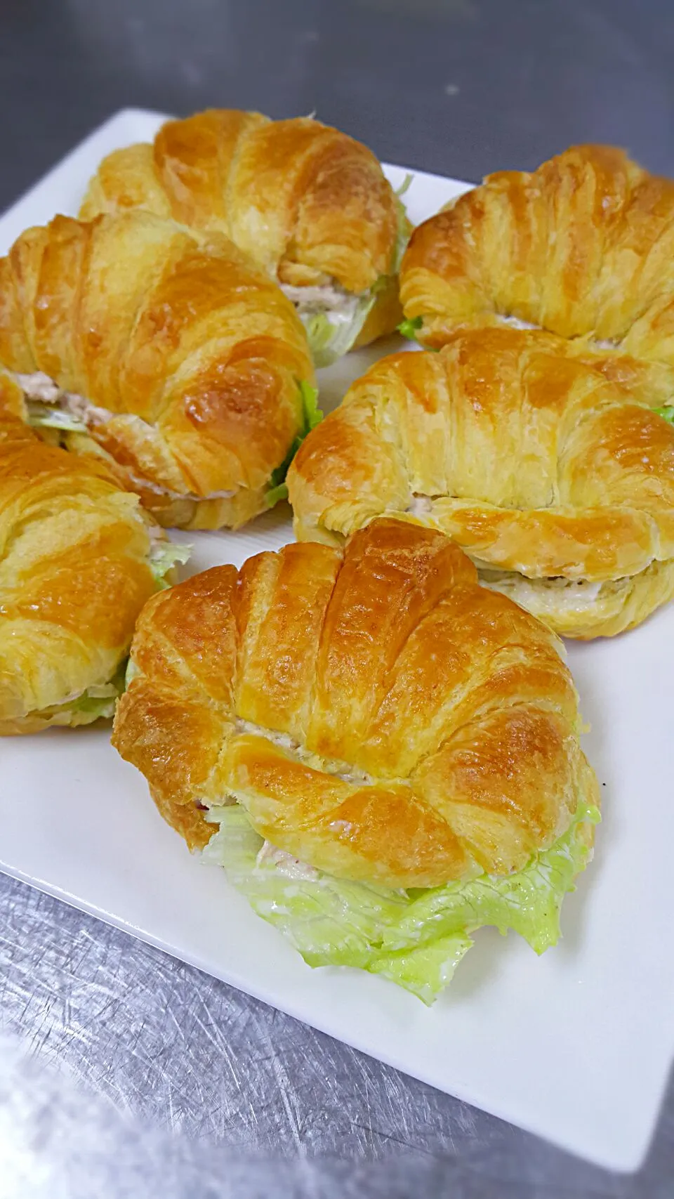 Tuna Croissant Sandwich|Steven Taylorさん