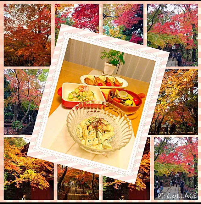 紅葉に囲まれて🍁                         nonさんの料理 きゅうり3本ペロッと食べちゃうゴマ味噌マヨきゅうり|くうちゃんさん