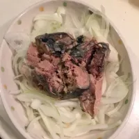 Snapdishの料理写真:鯖缶オニオンサラダ|さやりさん