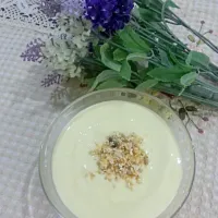 Homemade Vanilla Yogurt|Karinさん