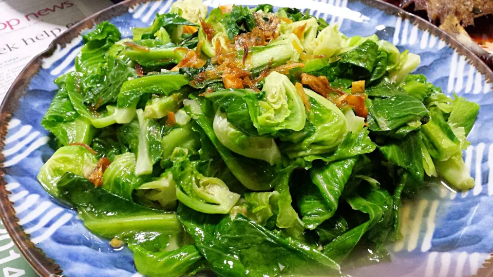 China cabbage by Mom|genさん