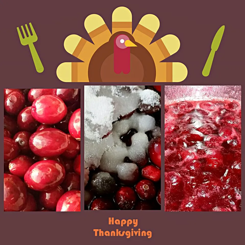 Snapdishの料理写真:Homemade cranberry sauce...sweet and tartar (^_^).|Jihollandさん