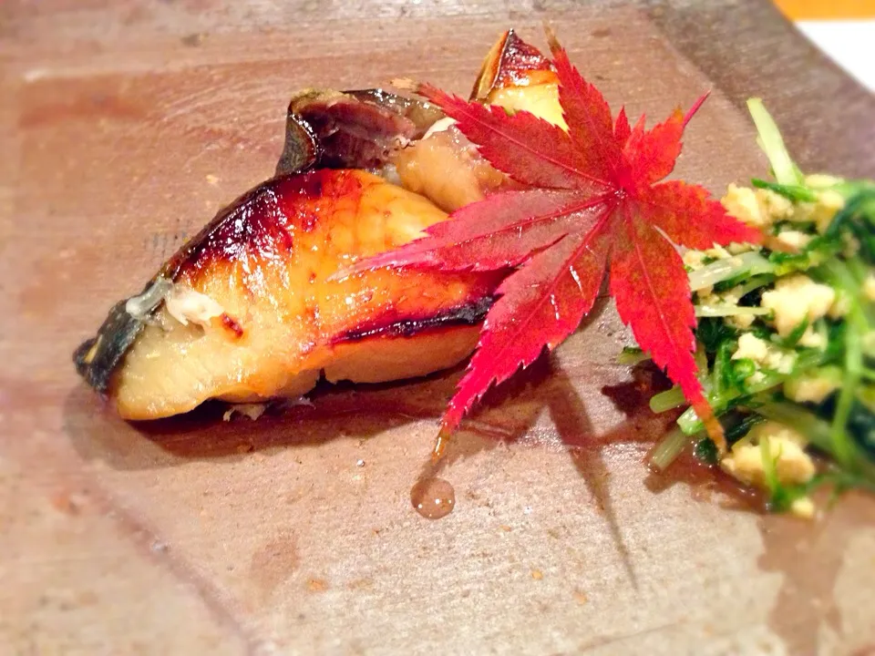 鰆の西京焼き、添えてあるのは水菜に鶏そぼろを和えたもの|しらこさん