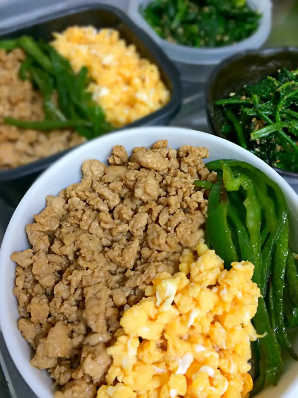 三食そぼろ丼と三食そぼろ弁当！|みきさん