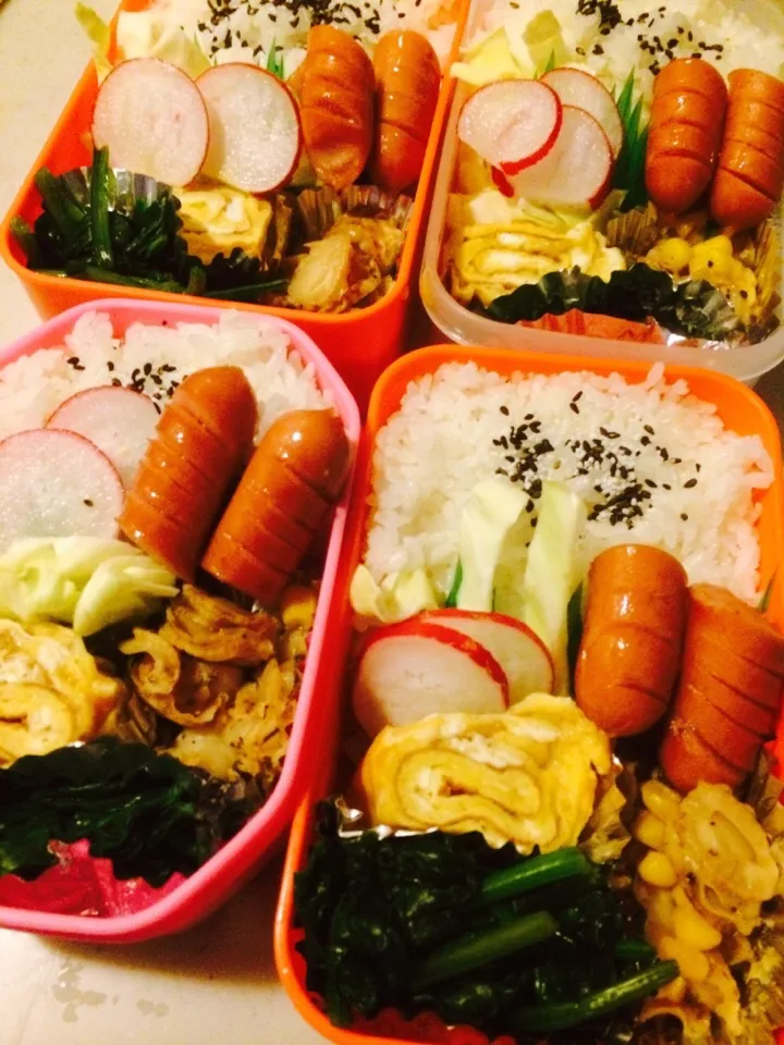 風が🌀🌀四人のお弁当。|りんさん