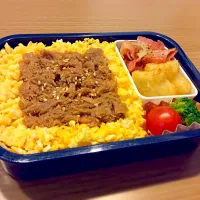 Snapdishの料理写真:ツナそぼろ丼弁当|のぞみさん