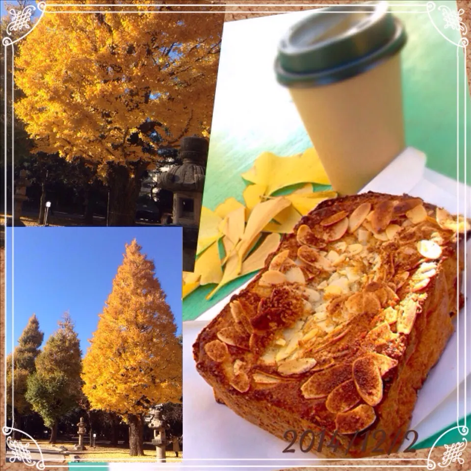 Snapdishの料理写真:本日快晴、銀杏の下で青空ランチ(o^^o)|佐倉さん