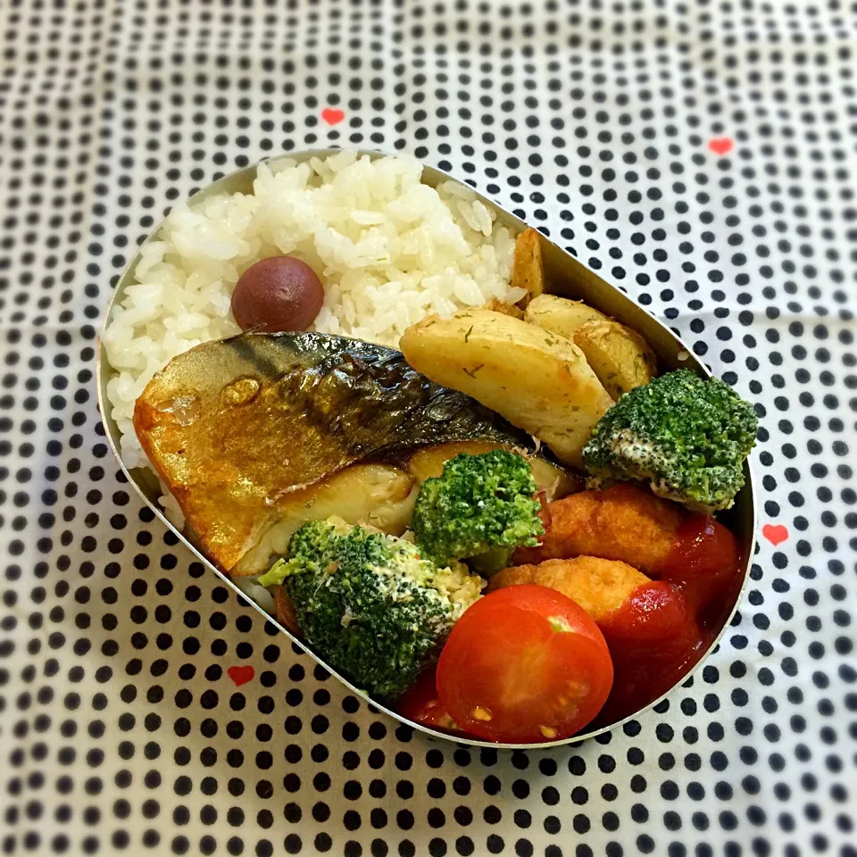 11月27日パパお弁当|tomoさん