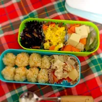 太陽のお弁当|sachifuluさん