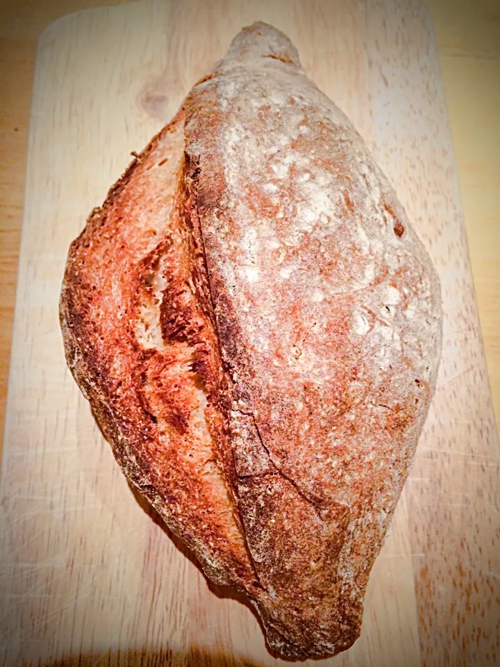 Sourdough honey bread|Chiho Yamamotoさん