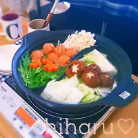 Snapdishの料理写真:生姜でポッカポカ♡節約♡自慢の塩鶏鍋|ちぃさん