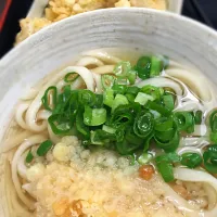 Snapdishの料理写真:新橋でナンバーワンのコスパのうどん。かけに別盛り鳥天。