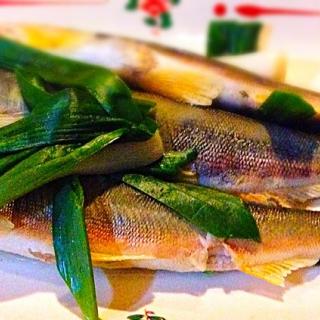 シビ 魚料理のレシピと料理アイディア25件 Snapdish スナップディッシュ