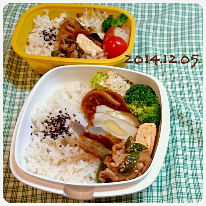 Snapdishの料理写真:今日のお弁当。 × ２|うさかめさん