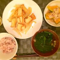厚揚げの味噌炒めとカボチャの肉あんかけ