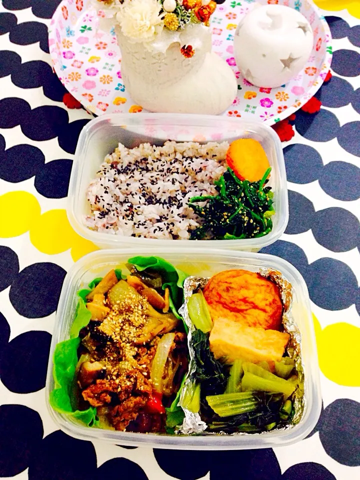 愛妻弁当❤︎|tommyさん