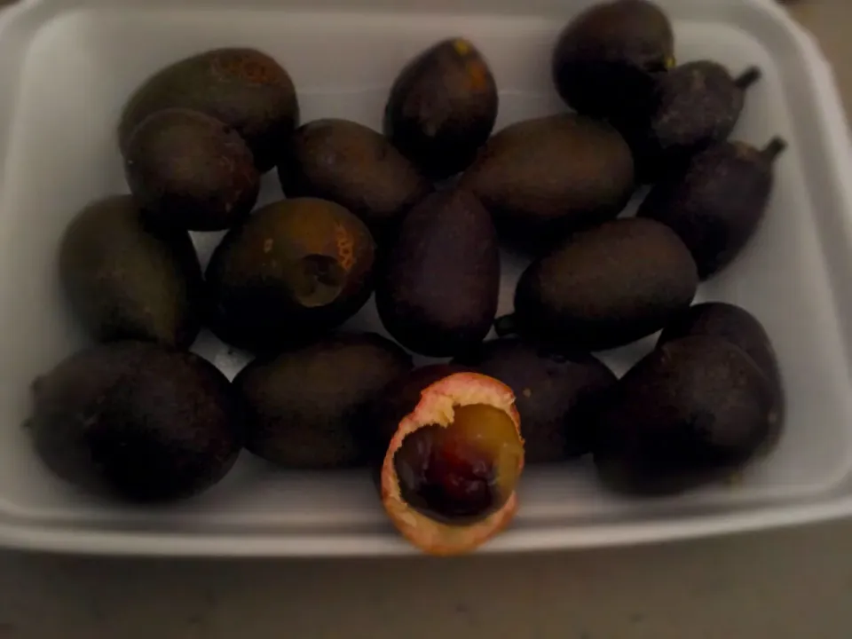 MATOA
delicious fruit of papua,Indonesia
 #indonesiapunya|Citra Indahさん