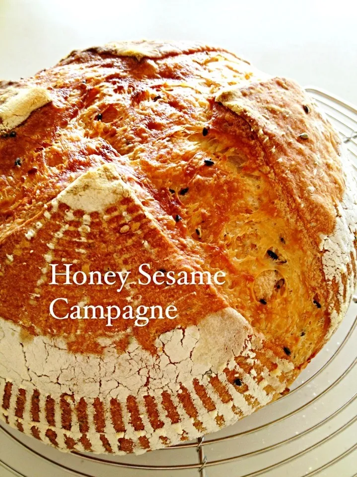 好き好きカンパーニュ。|ソラさん