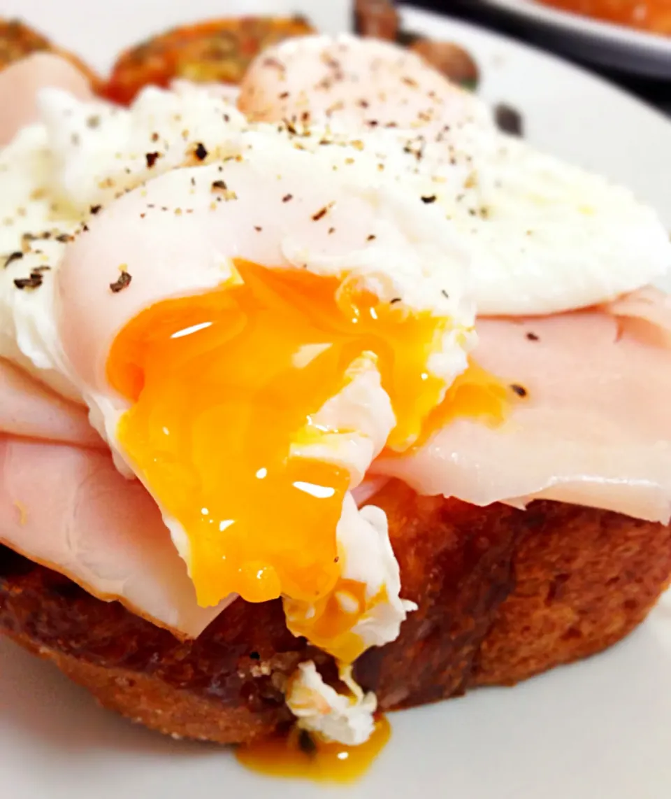 Poached eggs on top of apple baked ham on top of brioche|coxiella24さん