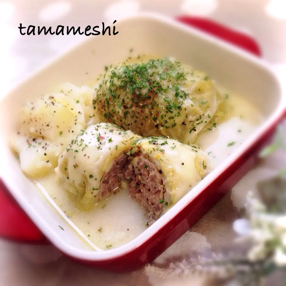 tama家の冬の定番＊ロール白菜のクリーム煮|tamaさん