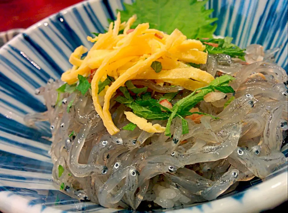 生しらす丼|和ははさん