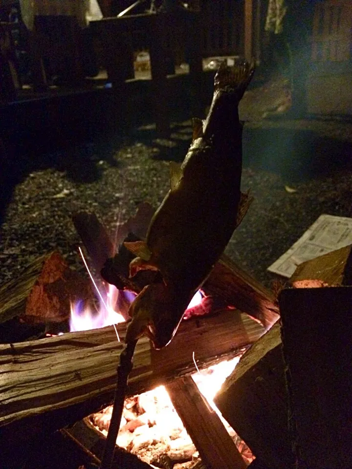 (友達が)釣ったニジマスを塩焼き！|たかのゆりさん