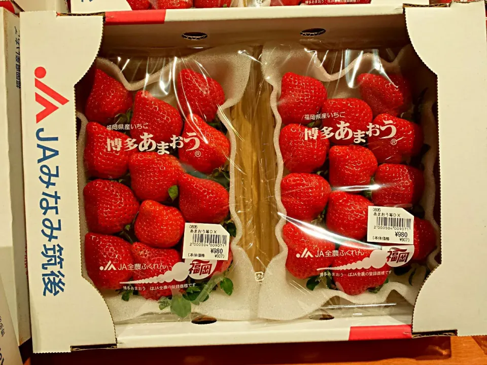 hakata strawberries|Yvonne C.さん