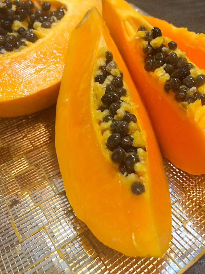 Papaya Fruits|Art Yuudhaさん